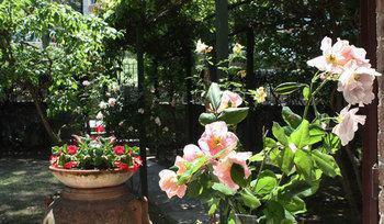 Gasthof La Primetta *